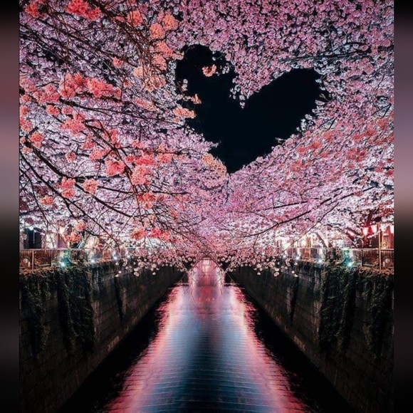 Accepting ALL Offers!!! 😃🎀🍒🌷💝 - Picture 15 of 16